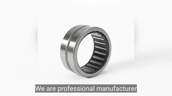 Factory Price Hf Series One Way Needle Bearing with Steel Spring